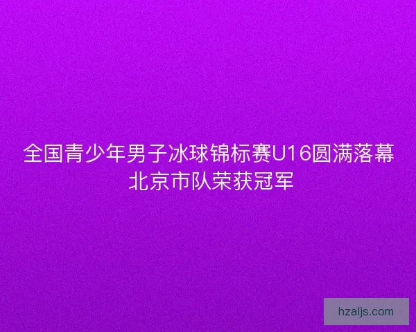 全国青少年男子冰球锦标赛U16圆满落幕 北京市队荣获冠军
